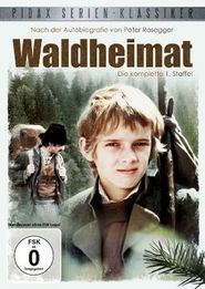Waldheimat Staffel 1