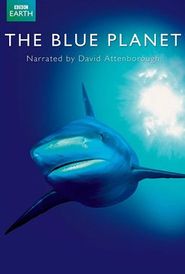 BBC: Unser blauer Planet - Die Naturgeschichte der Meere